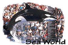 Sea World